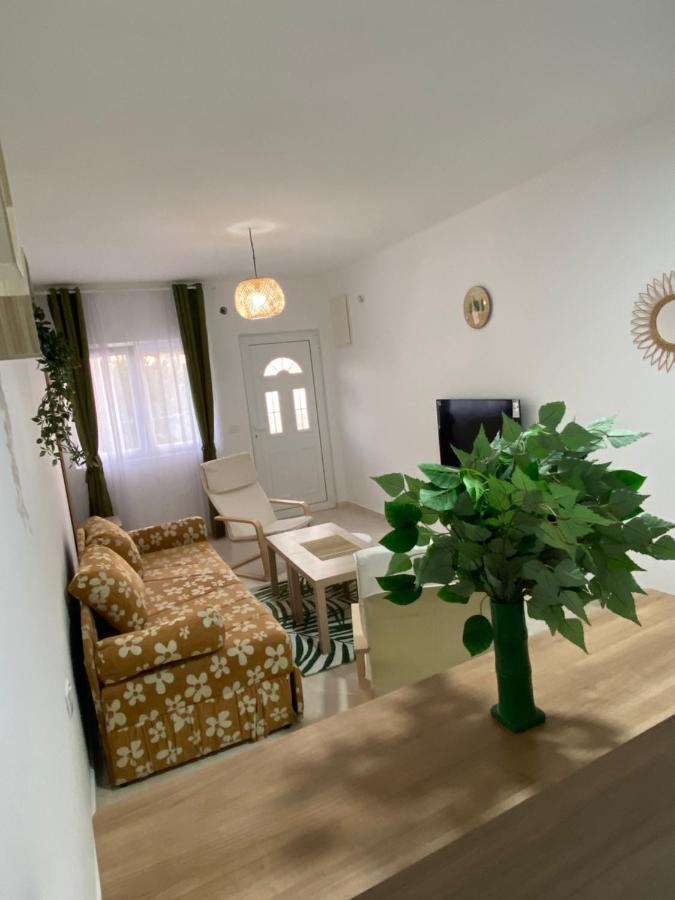 Apartman Green Sailor Kotor Buitenkant foto